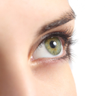 מהקרסול לעין: ניתוח השתלת עצב-תמונה